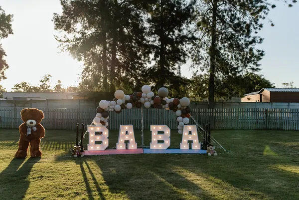 The Van Wyks, gender reveals